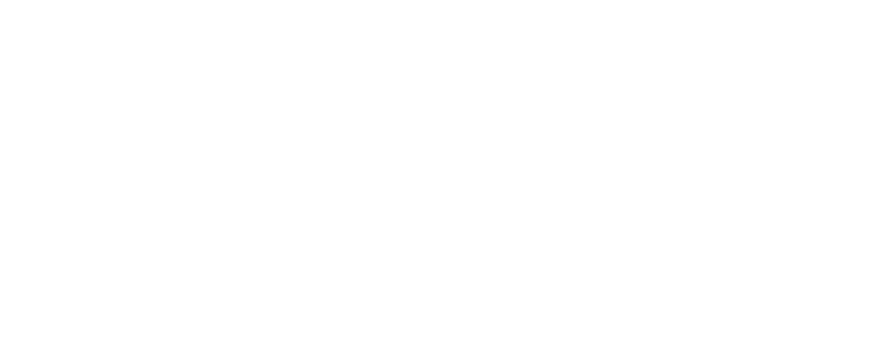Travel Promise Tours